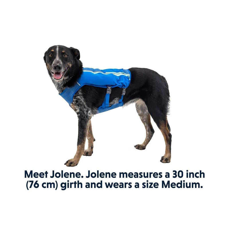 Ruffwear Trail Runner Dog Running Vest in Blue Pool (L / XL)