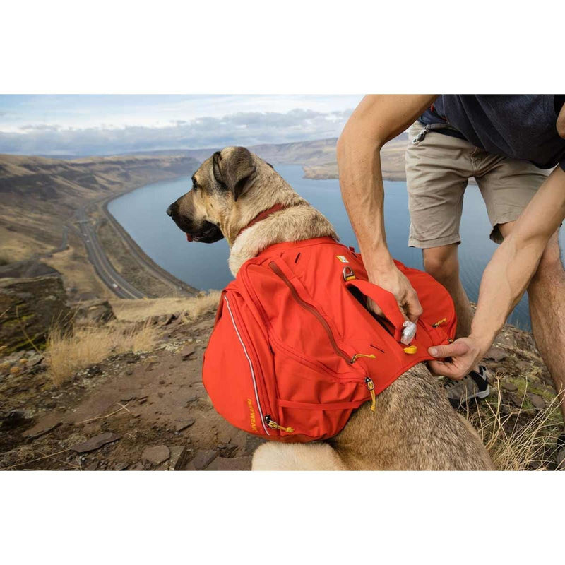 Ruffwear Palisades Dog Backpack in Red Sumac (L / XL)