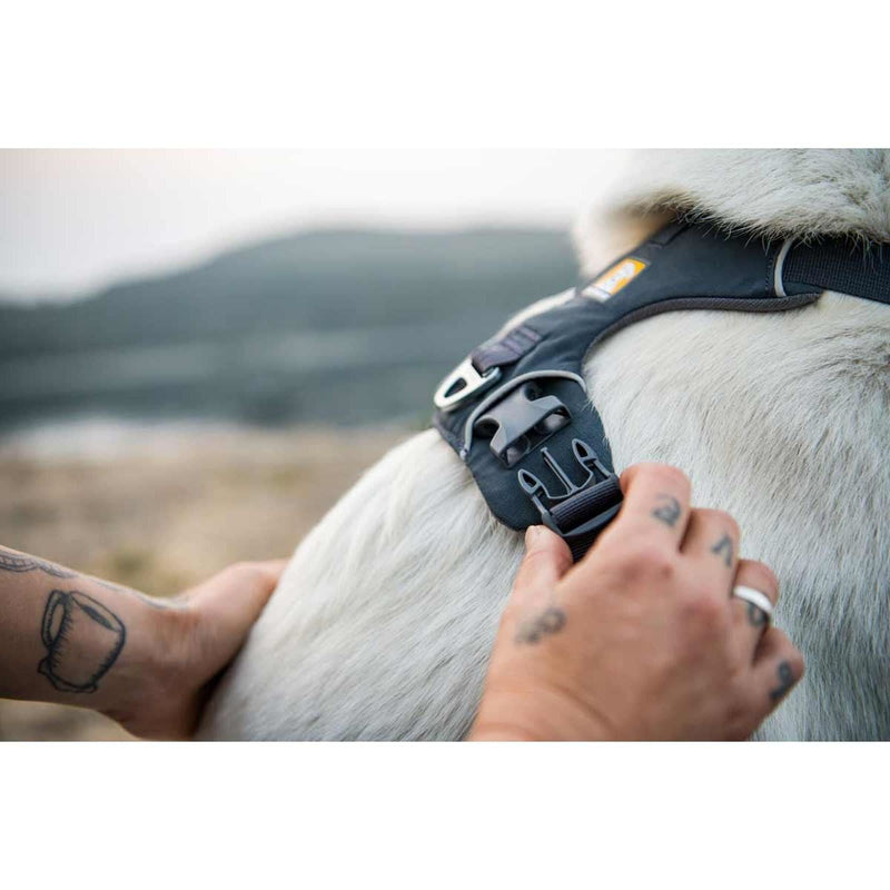 Ruffwear Front Range Dog Harness in Basalt Grey (L / XL)