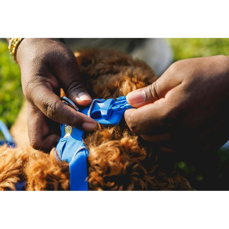 Ruffwear Front Range Dog Harness in Blue Pool (Small)