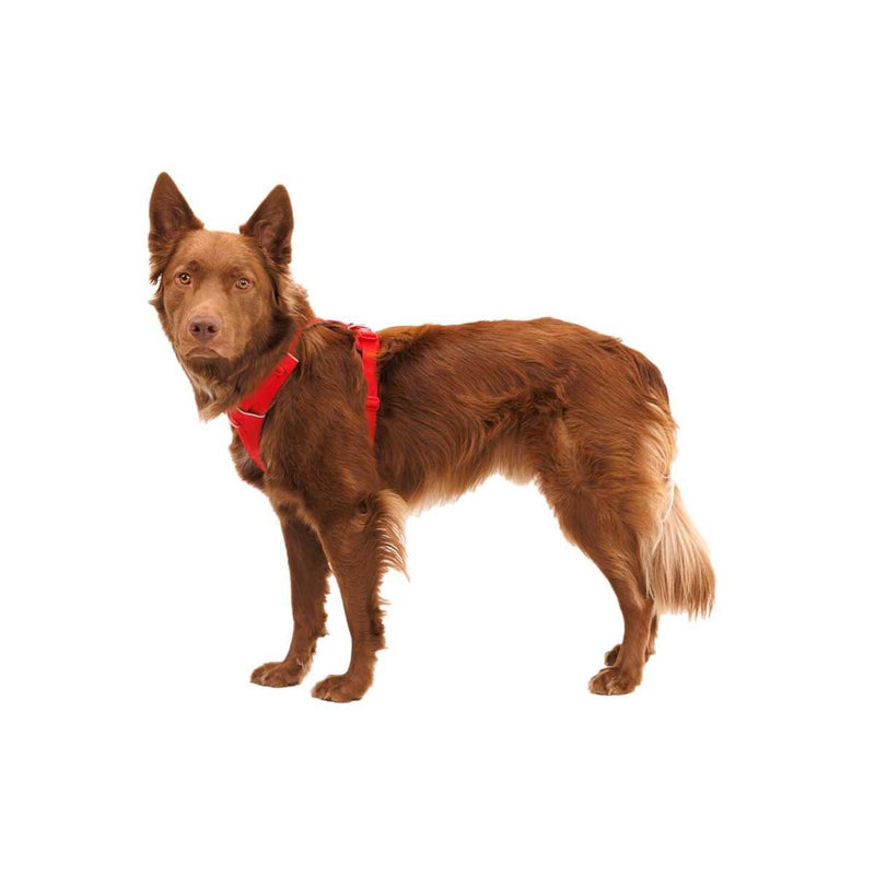 Ruffwear Front Range Dog Harness in Red Canyon (Medium)