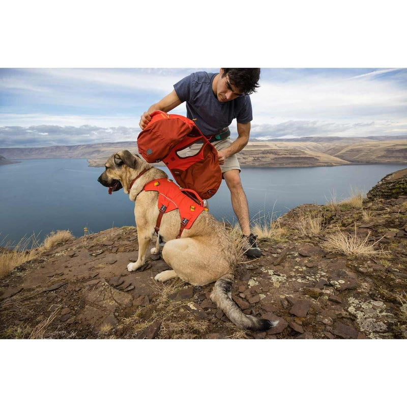 Ruffwear Palisades Dog Backpack in Red Sumac (Medium)