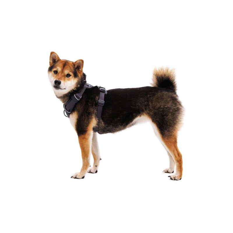 Ruffwear Front Range Dog Harness in Basalt Grey (L / XL)