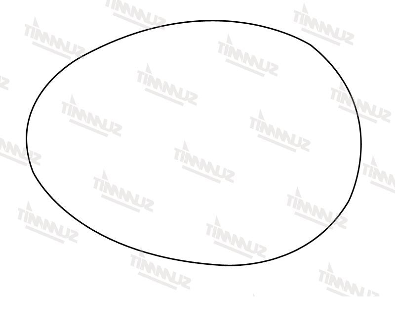 Summit Heated Base Plate With Blind Spot Mirror Glass fits BMW Mini 07 on RHS - Summit - My Roof Bars