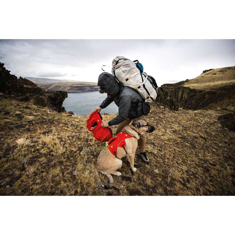 Ruffwear Palisades Dog Backpack in Red Sumac (L / XL)