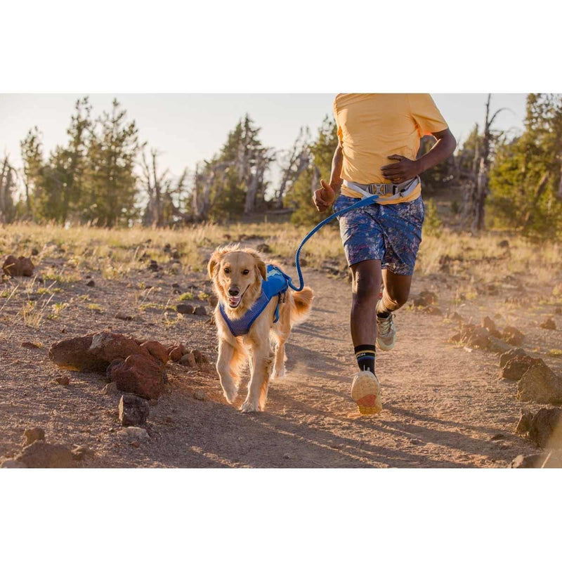 Ruffwear Trail Runner Belt in Blue Pool (L / XL)