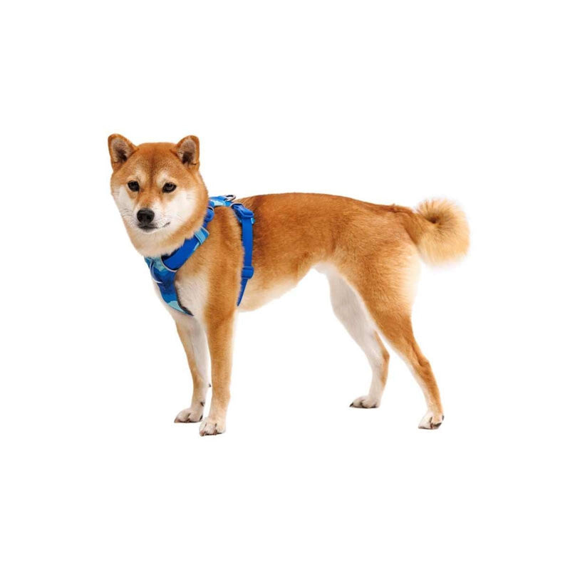 Ruffwear Front Range Dog Harness - Coastal Mountains Print (X Small)