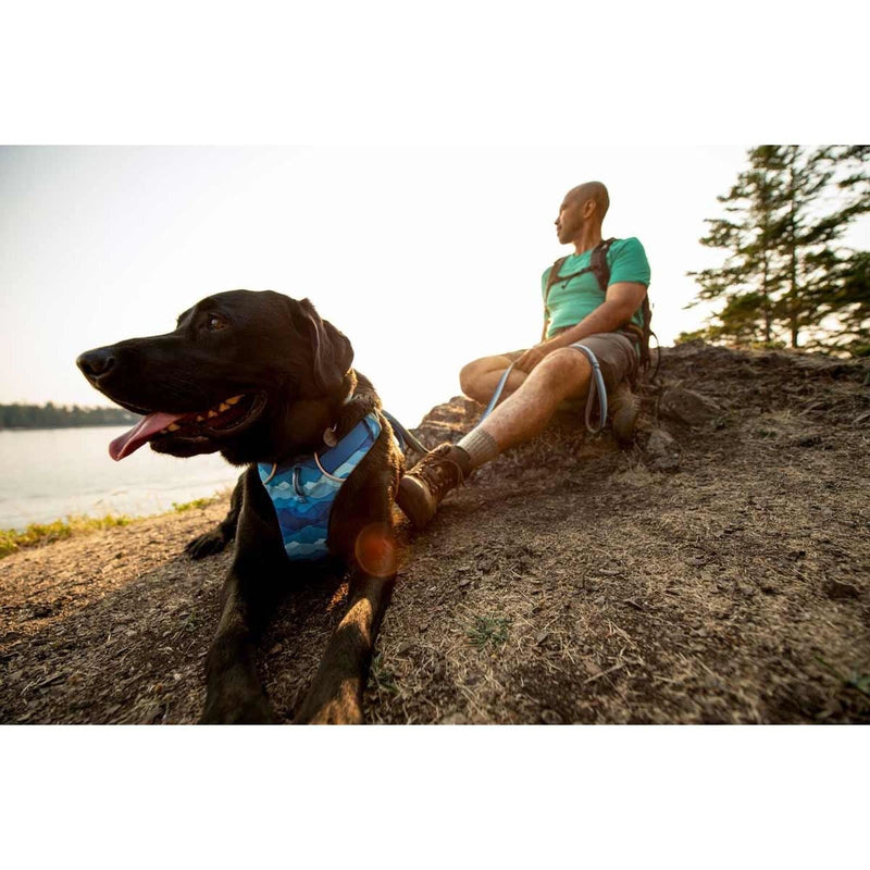 Ruffwear Front Range Dog Harness - Coastal Mountains Print (X Small)