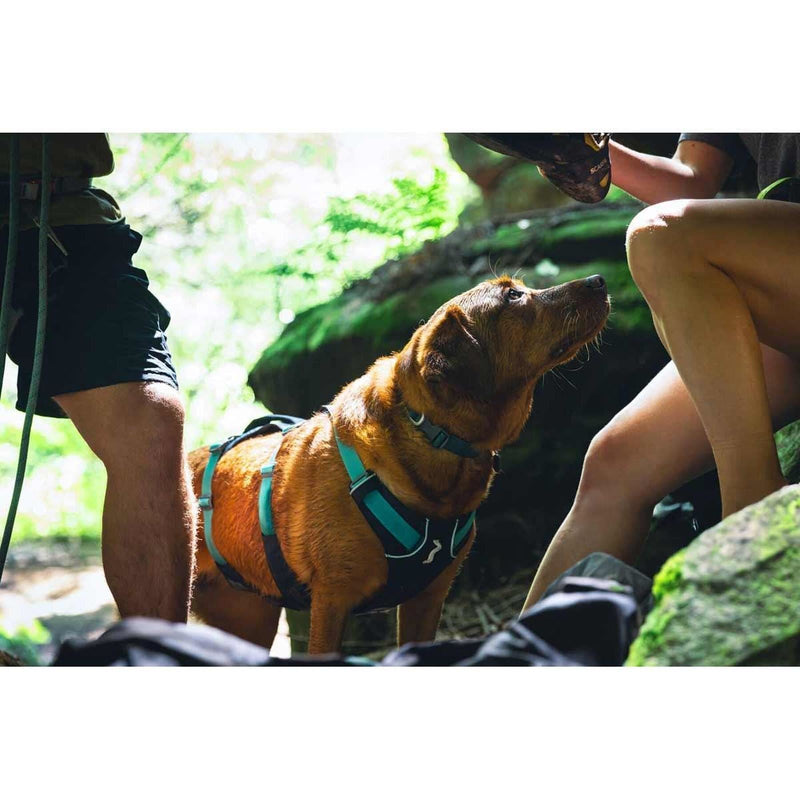 Ruffwear Flagline Dog Harness with Handle in Basalt Grey (Small)