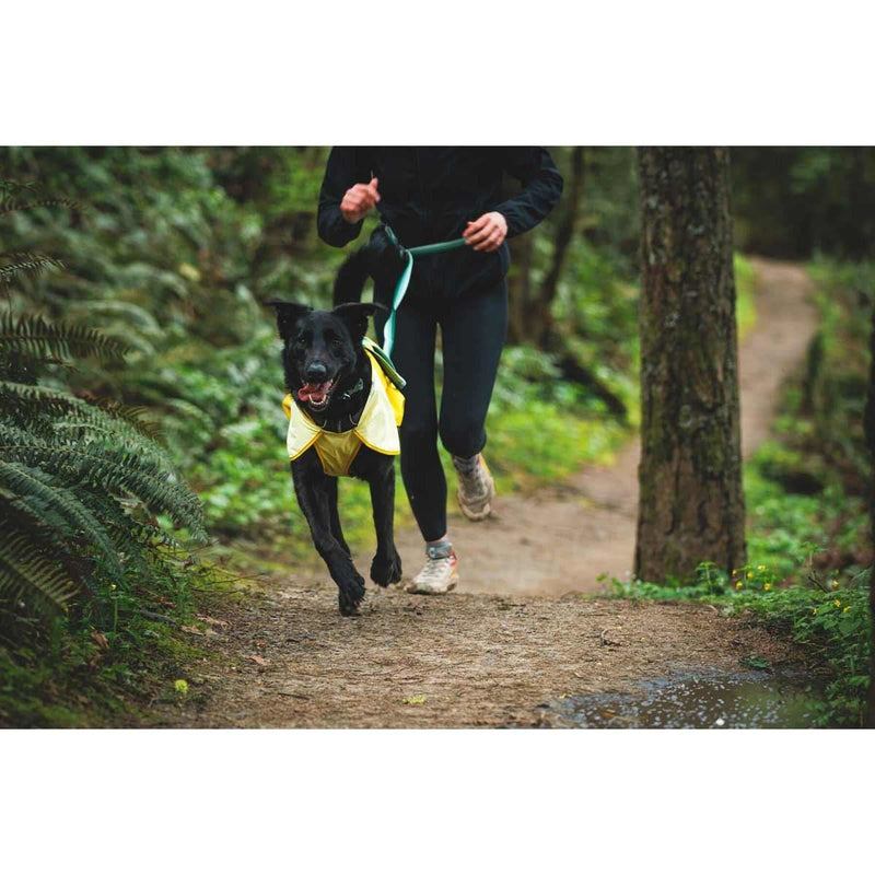 Ruffwear Sun Shower Dog Raincoat in Mineral Yellow (Small)