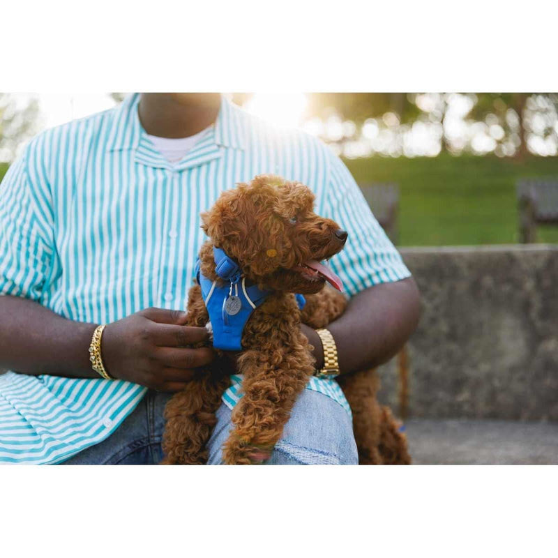 Ruffwear Front Range Dog Harness in Blue Pool (Small)