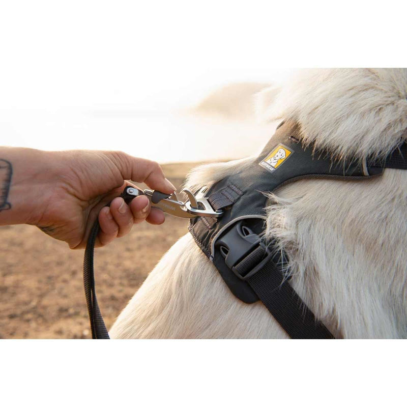 Ruffwear Front Range Dog Harness in Basalt Grey (L / XL)